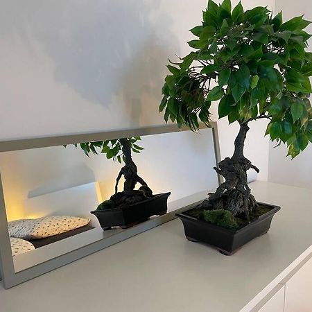 Magnifique Appartement A La Frontiere Suisse Saint-Louis  Ngoại thất bức ảnh